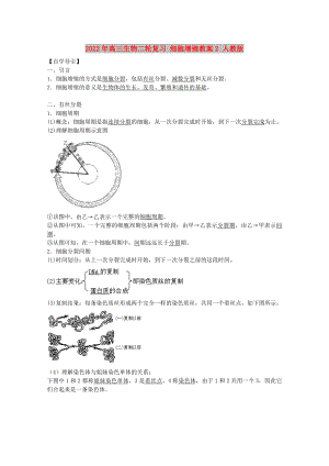 2022年高三生物二輪復習 細胞增殖教案2 人教版