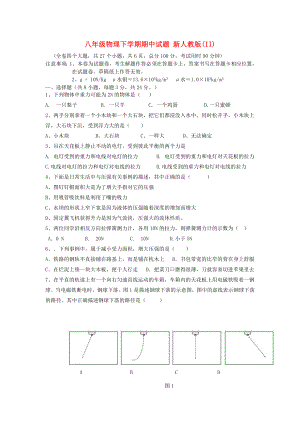 八年級物理下學(xué)期期中試題 新人教版(II)