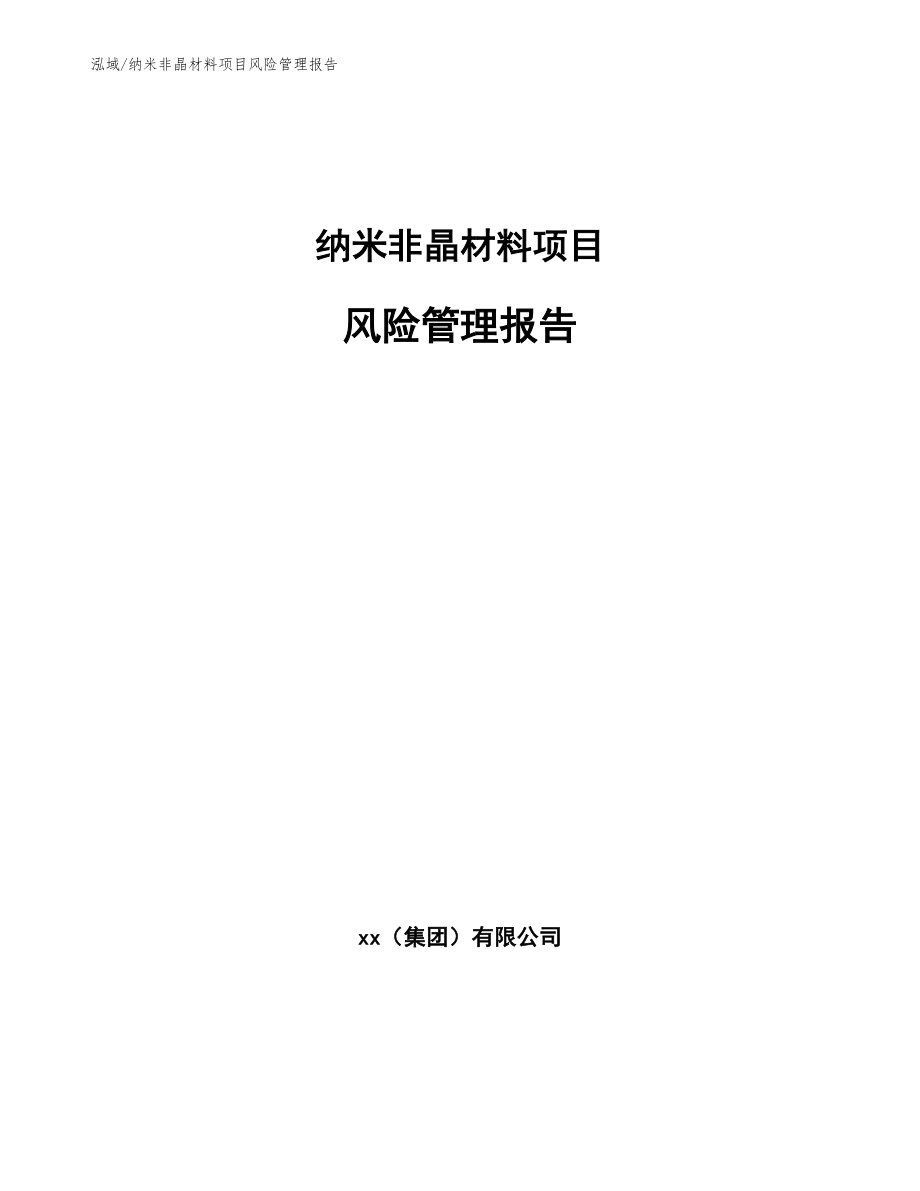 纳米非晶材料项目风险管理报告（参考）_第1页