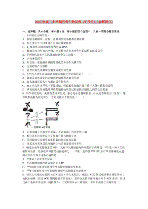 2022年高三上學(xué)期月考生物試卷（9月份） 含解析(I)