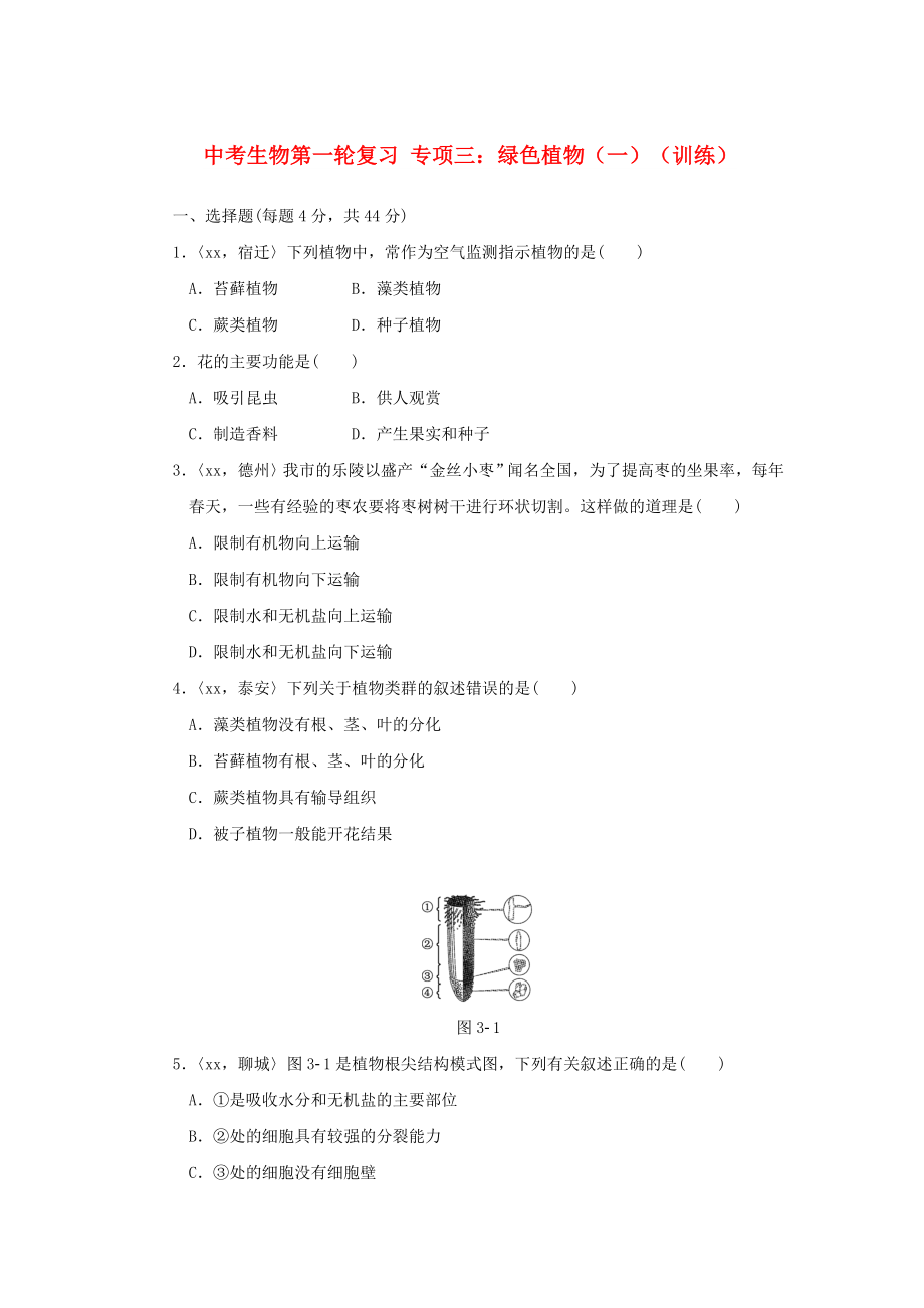 中考生物第一輪復(fù)習(xí) 專項(xiàng)三：綠色植物（一）（訓(xùn)練）_第1頁