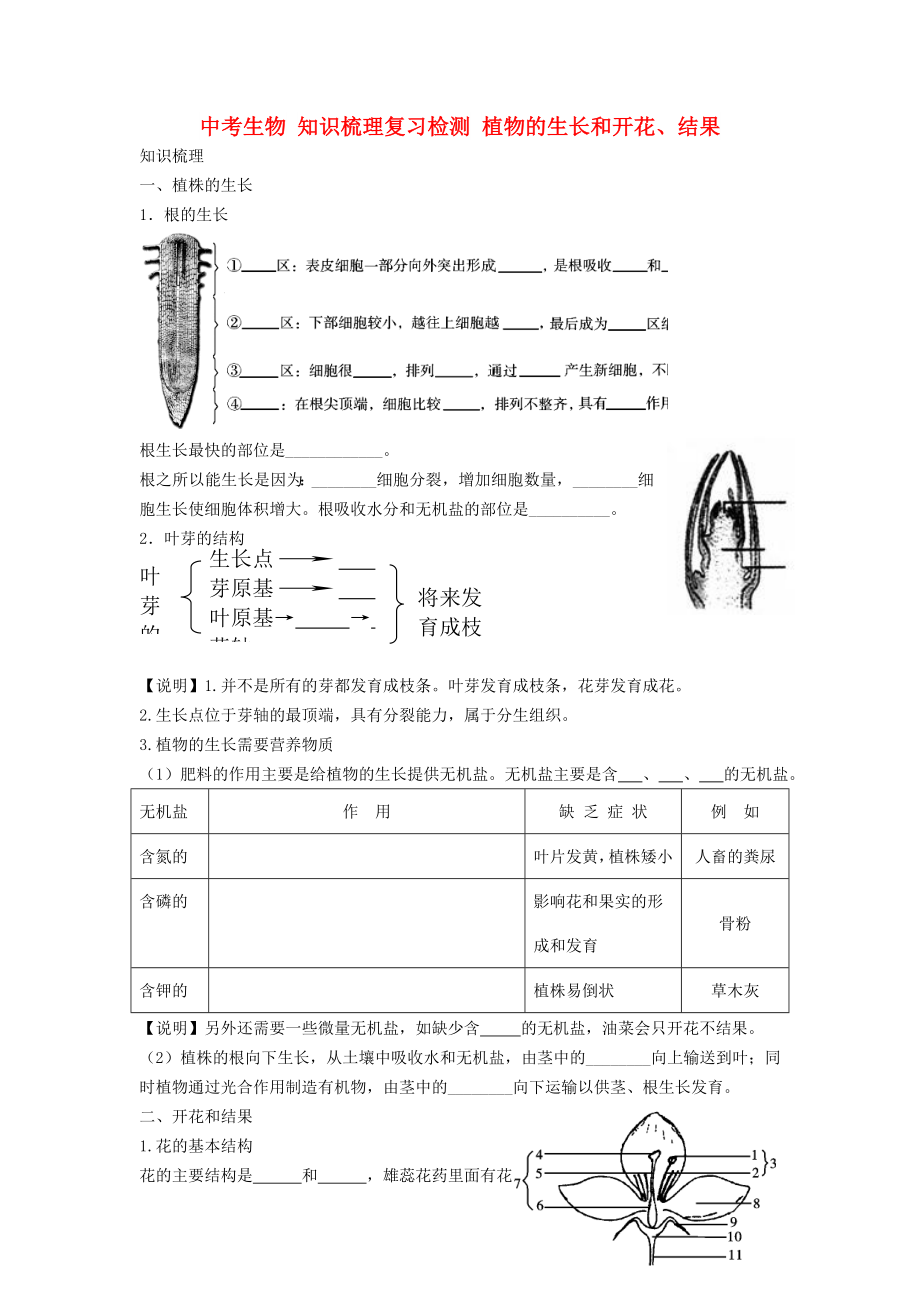 中考生物 知識梳理復(fù)習(xí)檢測 植物的生長和開花、結(jié)果_第1頁