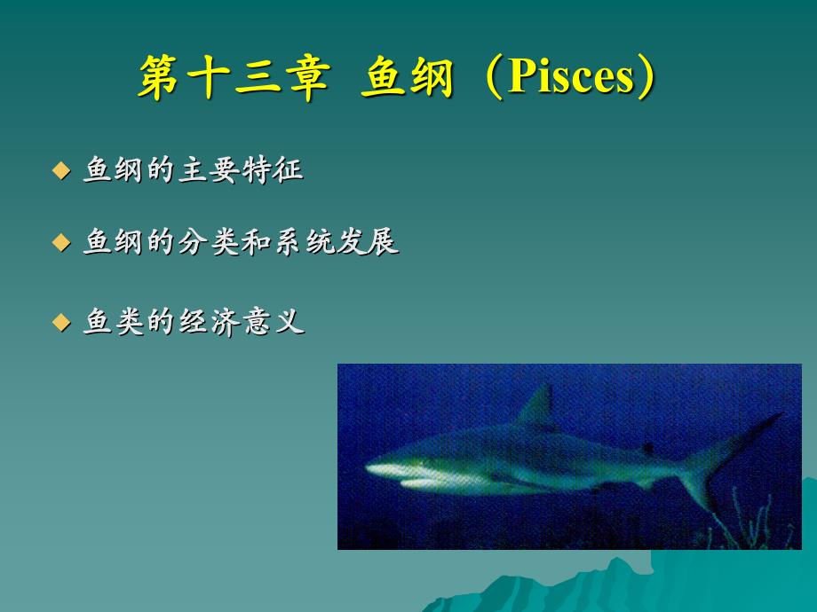 鱼纲Pisces知识PPT_第1页