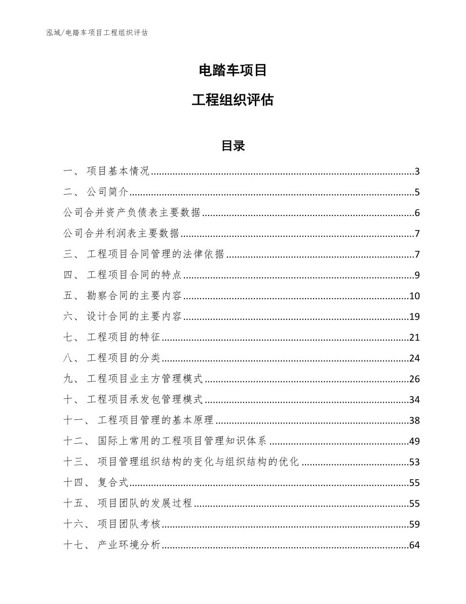 电踏车项目工程组织评估_范文_第1页