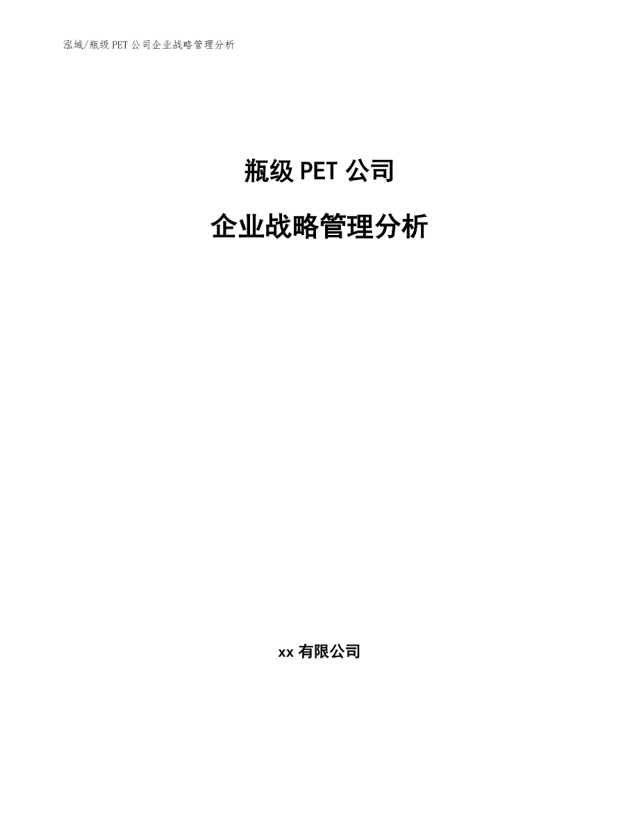 瓶级PET公司企业战略管理分析（参考）_第1页