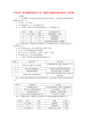 中考化學(xué) 考點(diǎn)跟蹤突破第26講 專題四 物質(zhì)的分離與除雜（含答案）