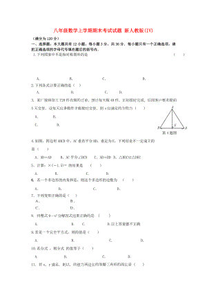 八年級數(shù)學(xué)上學(xué)期期末考試試題 新人教版(IV)