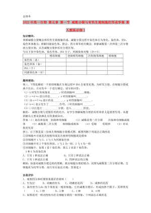 2022年高一生物 第五章 第一節(jié) 減數(shù)分裂與有性生殖細(xì)胞的形成學(xué)案 新人教版必修1