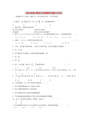 2022年高三數(shù)學(xué)上學(xué)期期中試題 文(VI)