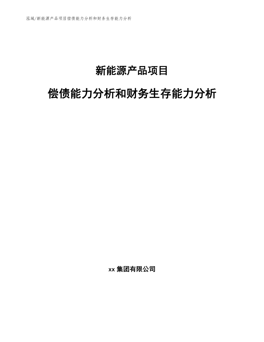 新能源产品项目偿债能力分析和财务生存能力分析_第1页