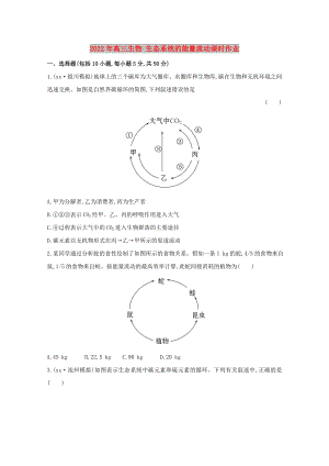 2022年高三生物 生態(tài)系統(tǒng)的能量流動課時作業(yè)