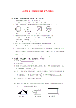 九年級數(shù)學上學期期中試題 新人教版(VI)