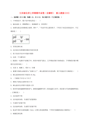 九年級(jí)化學(xué)上學(xué)期期中試卷（含解析） 新人教版(III)