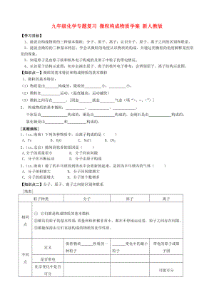 九年級(jí)化學(xué)專題復(fù)習(xí) 微粒構(gòu)成物質(zhì)學(xué)案 新人教版