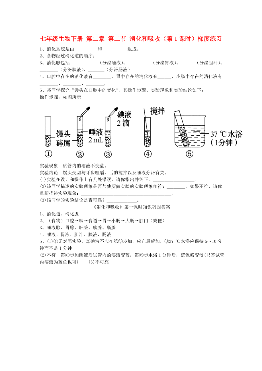 七年級生物下冊 第二章 第二節(jié) 消化和吸收（第1課時）梯度練習(xí)_第1頁