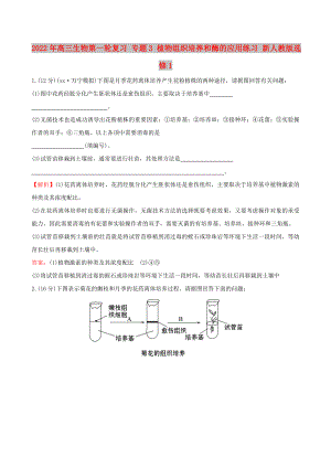 2022年高三生物第一輪復(fù)習(xí) 專題3 植物組織培養(yǎng)和酶的應(yīng)用練習(xí) 新人教版選修1