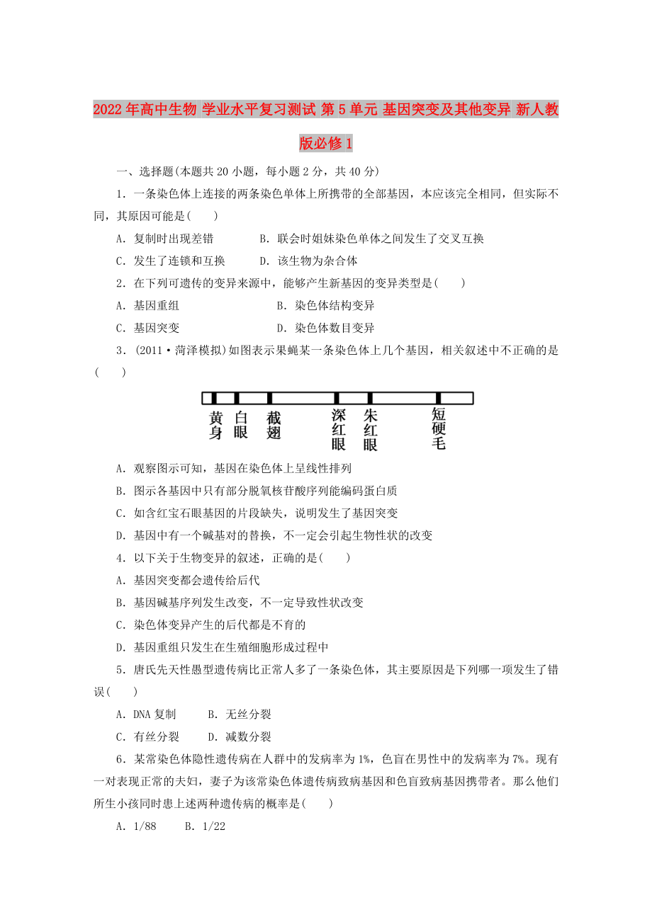 2022年高中生物 學(xué)業(yè)水平復(fù)習(xí)測(cè)試 第5單元 基因突變及其他變異 新人教版必修1_第1頁(yè)