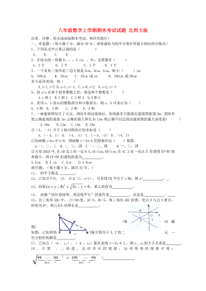 八年級(jí)數(shù)學(xué)上學(xué)期期末考試試題 北師大版