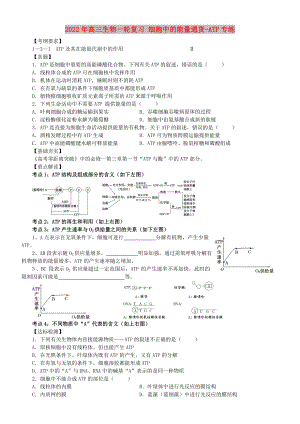 2022年高三生物一輪復(fù)習(xí) 細(xì)胞中的能量通貨-ATP專練