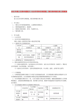 2022年高三生物專(zhuān)題復(fù)習(xí) 光合作用和生物固氮、微生物和微生物工程教案