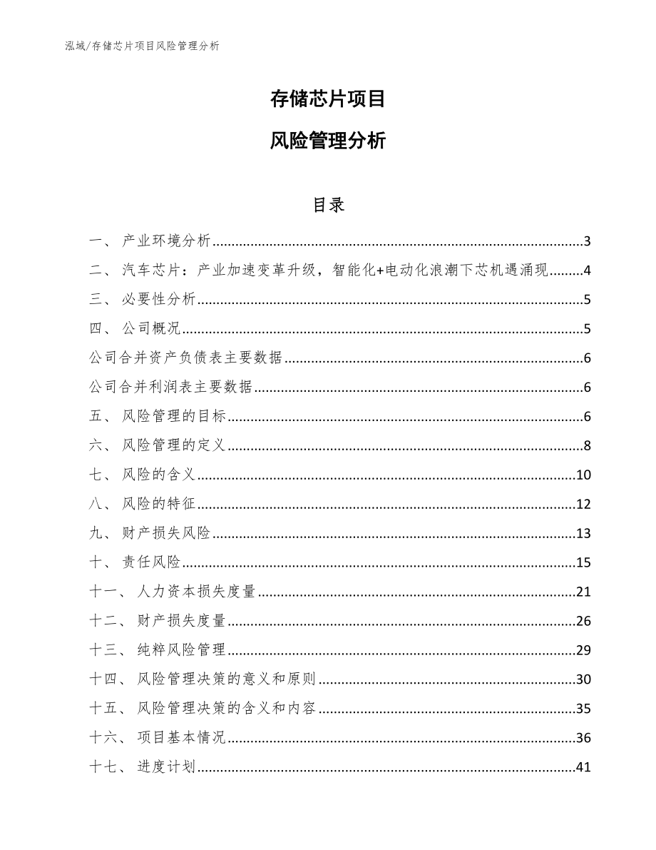 存储芯片项目风险管理分析_第1页