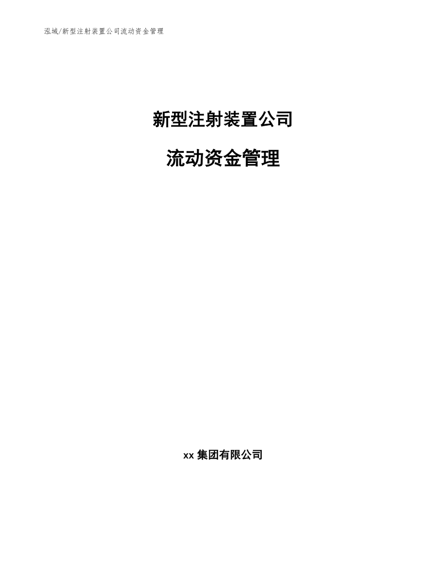 新型注射装置公司流动资金管理（参考）_第1页