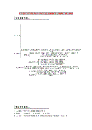 九年級化學下冊 第十一單元 鹽 化肥練習 （新版）新人教版