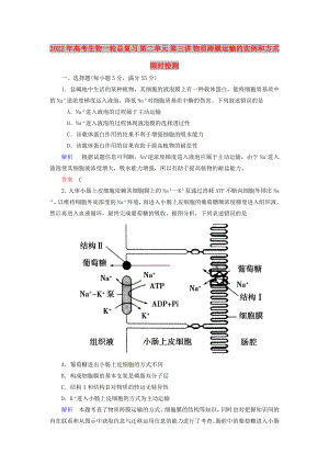 2022年高考生物一輪總復(fù)習(xí) 第二單元 第三講 物質(zhì)跨膜運(yùn)輸?shù)膶嵗头绞较迺r檢測