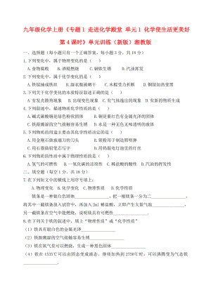 九年級化學上冊《專題1 走進化學殿堂 單元1 化學使生活更美好 第4課時》單元訓練（新版）湘教版