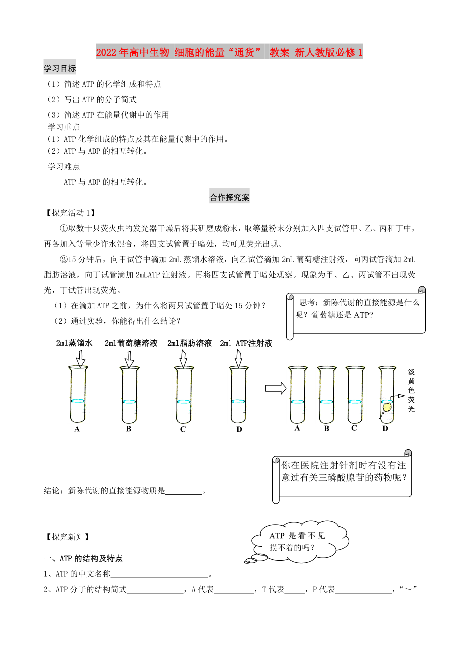 2022年高中生物 細(xì)胞的能量“通貨” 教案 新人教版必修1_第1頁