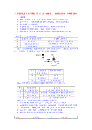 九年級總復習練習冊：第33講 專題十二 物質(zhì)的檢驗 分離和提純