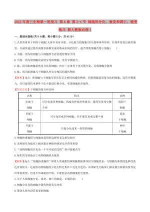 2022年高三生物第一輪復(fù)習(xí) 第6章 第2-4節(jié) 細(xì)胞的分化、衰老和凋亡、癌變練習(xí) 新人教版必修1