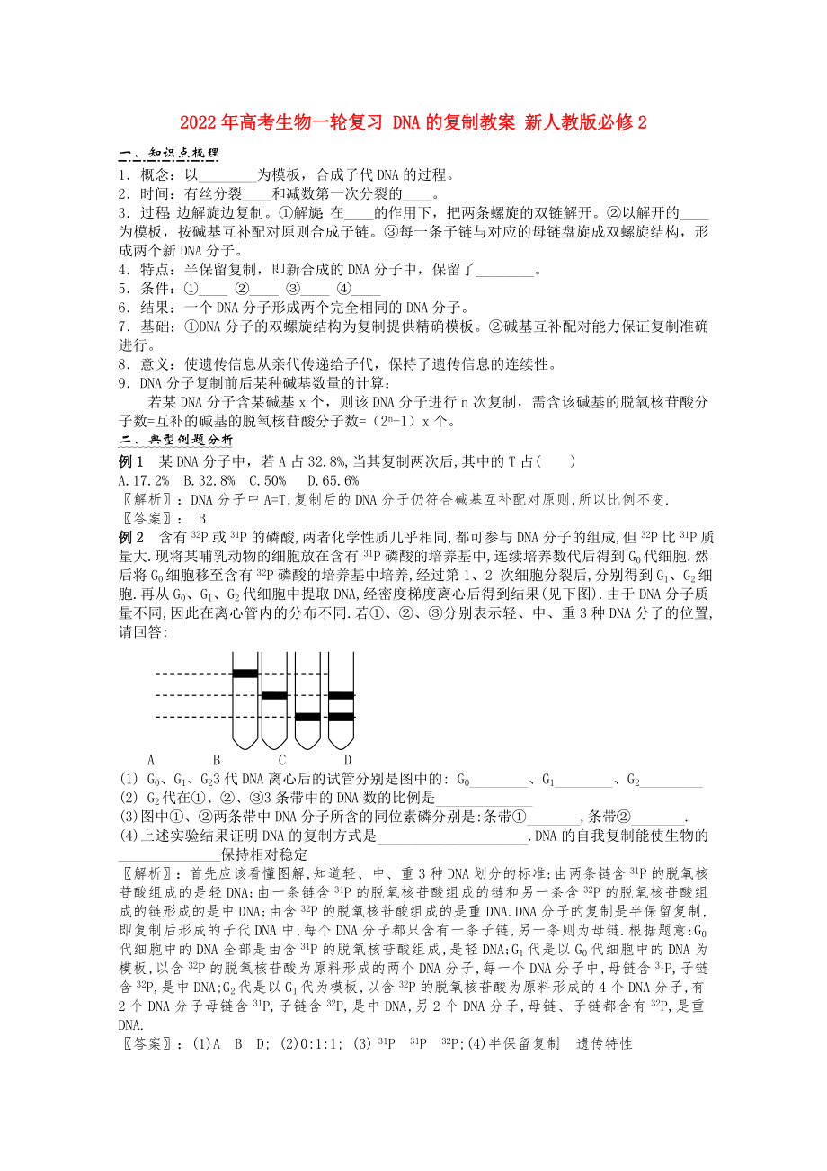 2022年高考生物一輪復(fù)習(xí) DNA的復(fù)制教案 新人教版必修2_第1頁