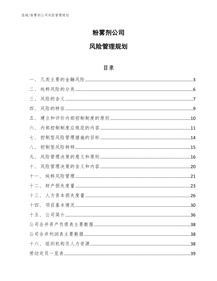 粉雾剂公司风险管理规划_范文_第1页