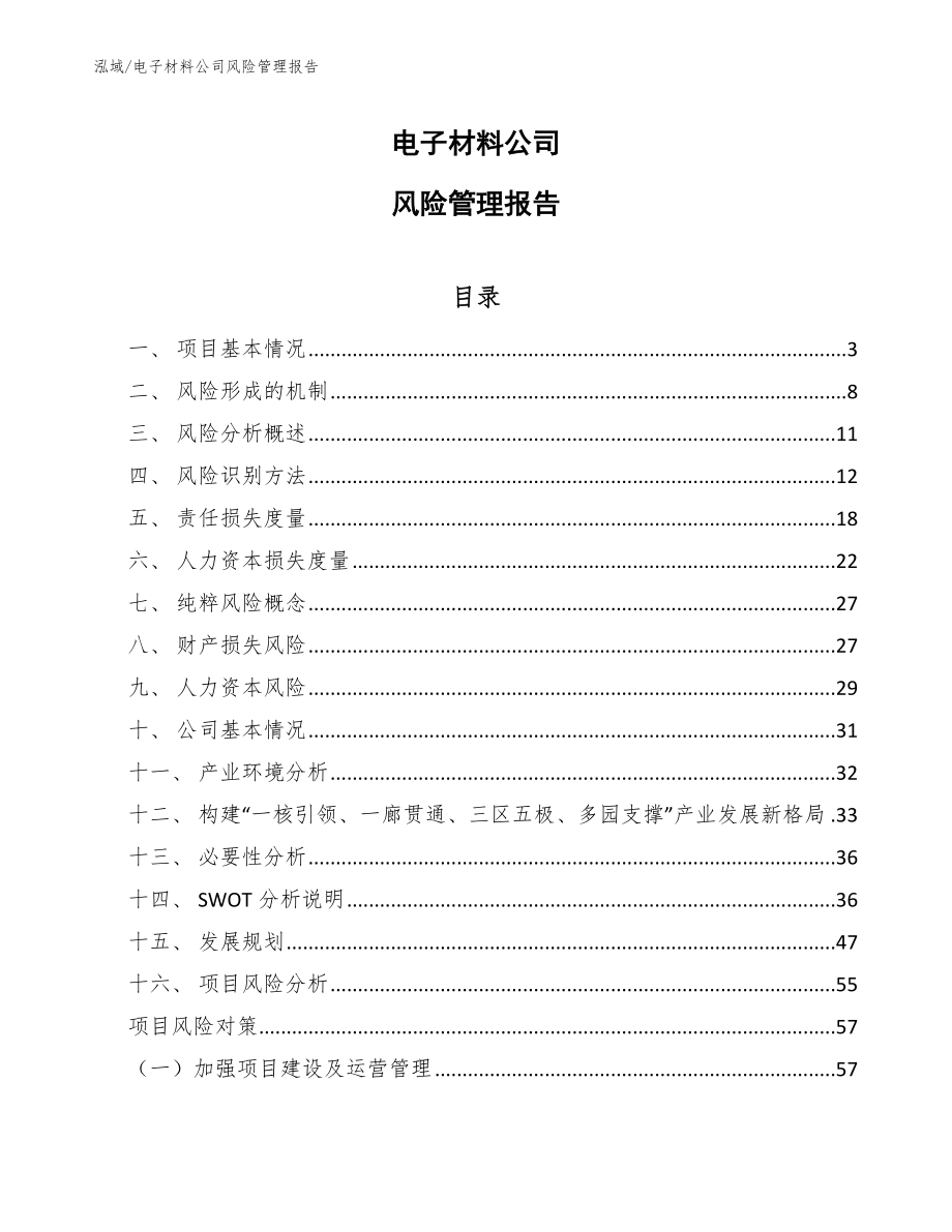 电子材料公司风险管理报告【参考】_第1页