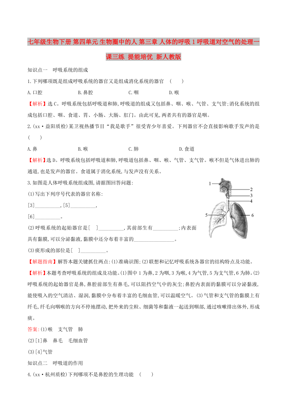 七年級生物下冊 第四單元 生物圈中的人 第三章 人體的呼吸 1 呼吸道對空氣的處理一課三練 提能培優(yōu) 新人教版_第1頁