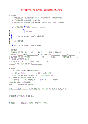 九年級(jí)化學(xué)《常見(jiàn)的堿堿的通性》復(fù)習(xí)學(xué)案