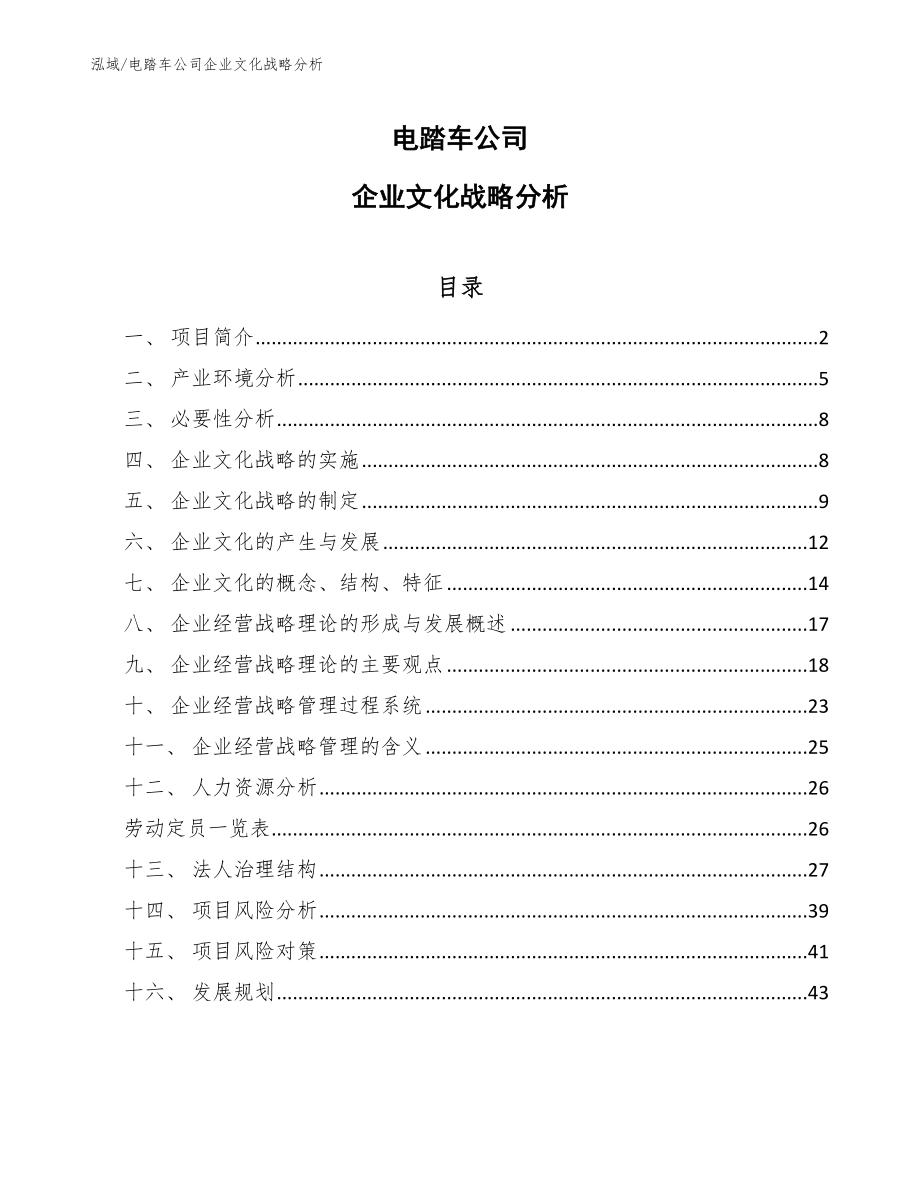 电踏车公司企业文化战略分析_第1页