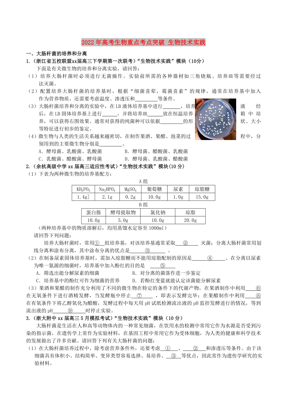 2022年高考生物重点考点突破 生物技术实践_第1页