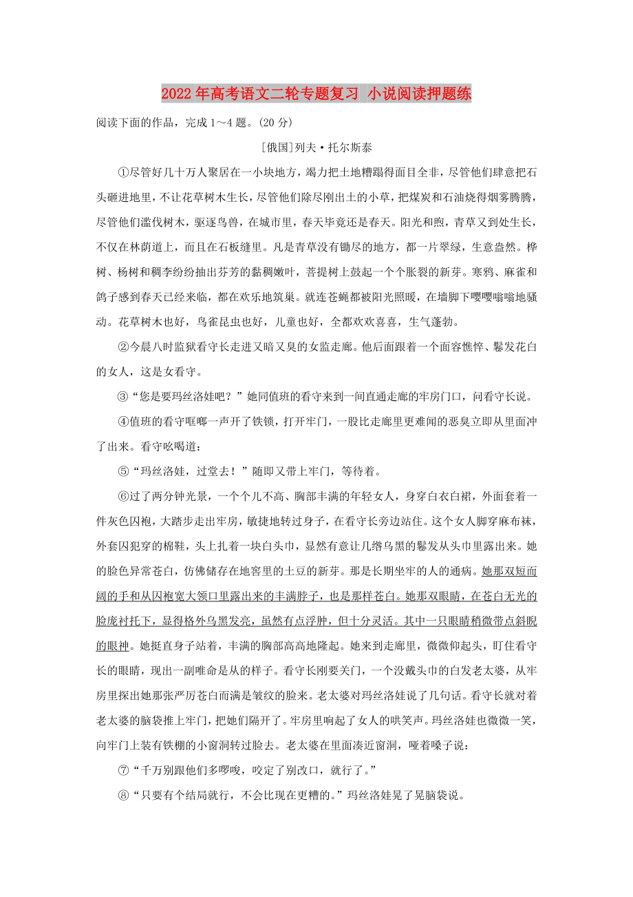 2022年高考語(yǔ)文二輪專(zhuān)題復(fù)習(xí) 小說(shuō)閱讀押題練_第1頁(yè)