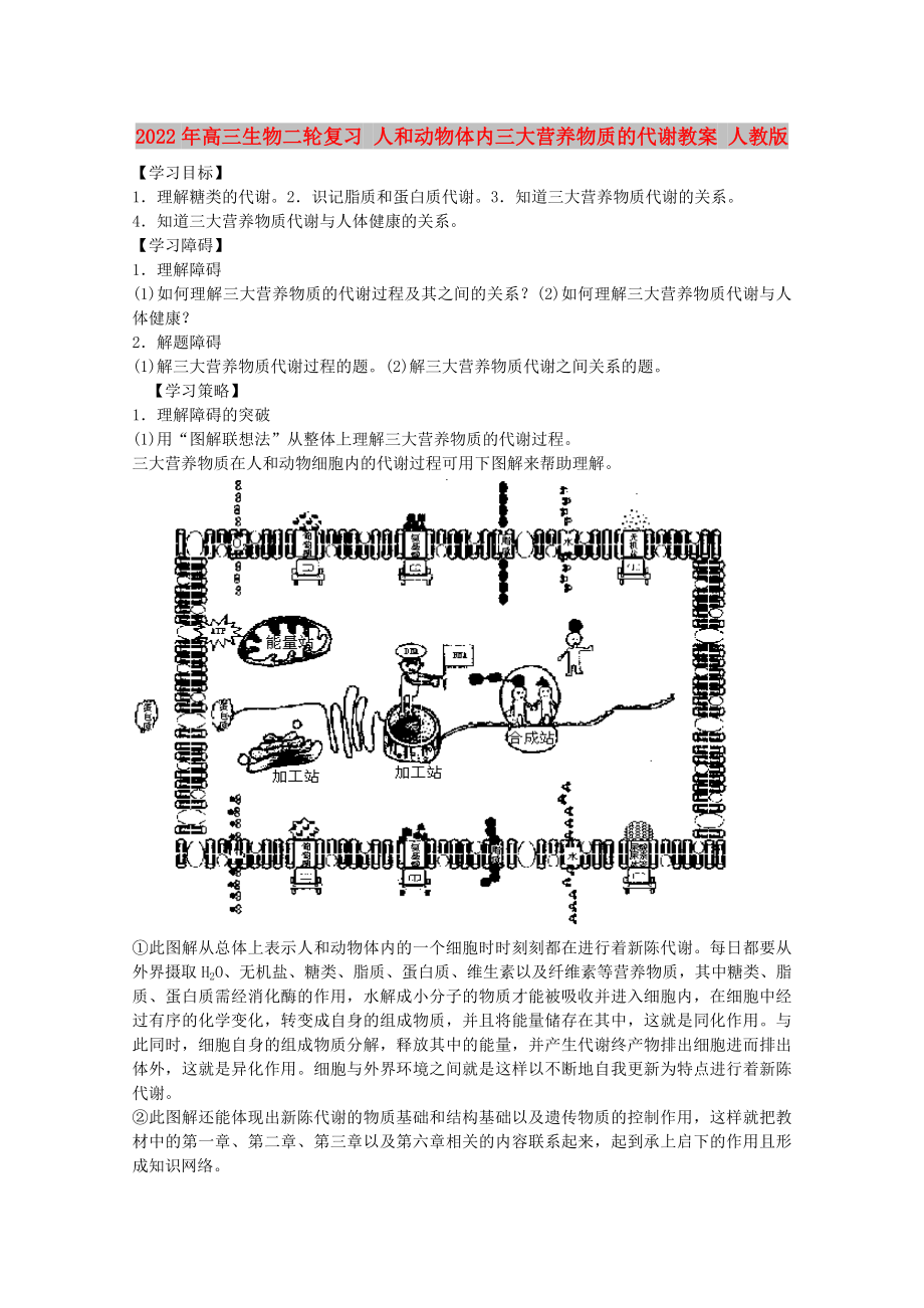 2022年高三生物二轮复习 人和动物体内三大营养物质的代谢教案 人教版_第1页