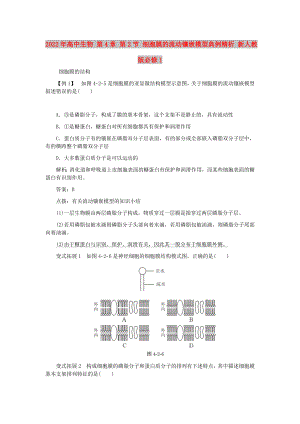 2022年高中生物 第4章 第2節(jié) 細(xì)胞膜的流動鑲嵌模型典例精析 新人教版必修1