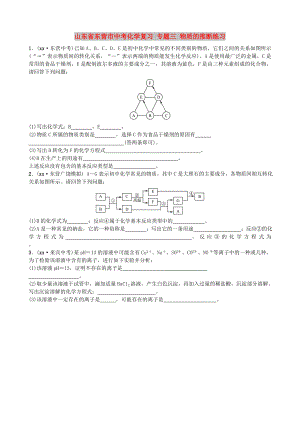 山東省東營市中考化學(xué)復(fù)習(xí) 專題三 物質(zhì)的推斷練習(xí)