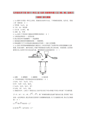 九年級化學(xué)下冊 第十一單元 鹽 化肥 創(chuàng)新微專題（五）酸、堿、鹽練習(xí) （新版）新人教版