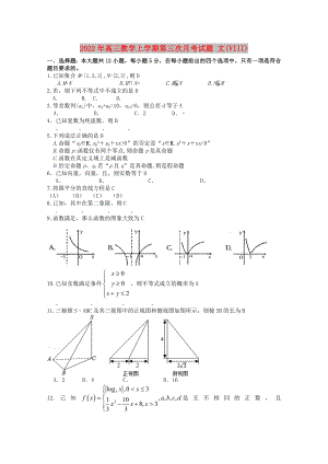 2022年高三數(shù)學(xué)上學(xué)期第三次月考試題 文(VIII)