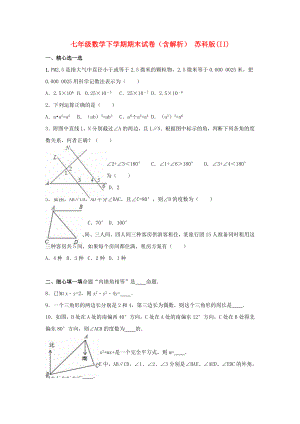 七年級數(shù)學下學期期末試卷（含解析） 蘇科版(II)