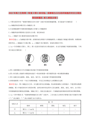 2022年高三生物第一輪復習 第6章 實驗：觀察根尖分生組織細胞的有絲分裂拓展創(chuàng)新題組 新人教版必修1