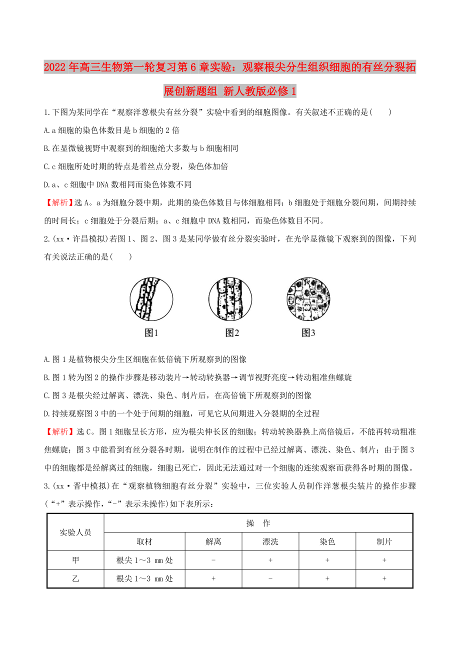 2022年高三生物第一輪復習 第6章 實驗：觀察根尖分生組織細胞的有絲分裂拓展創(chuàng)新題組 新人教版必修1_第1頁