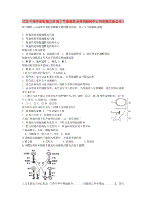 2022年高中生物 第三章 第3節(jié) 細(xì)胞核 系統(tǒng)的控制中心同步測(cè)試 新必修1