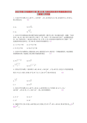 2022年春八年級數(shù)學(xué)下冊 第18章 勾股定理本章中考演練課時作業(yè) （新版）滬科版